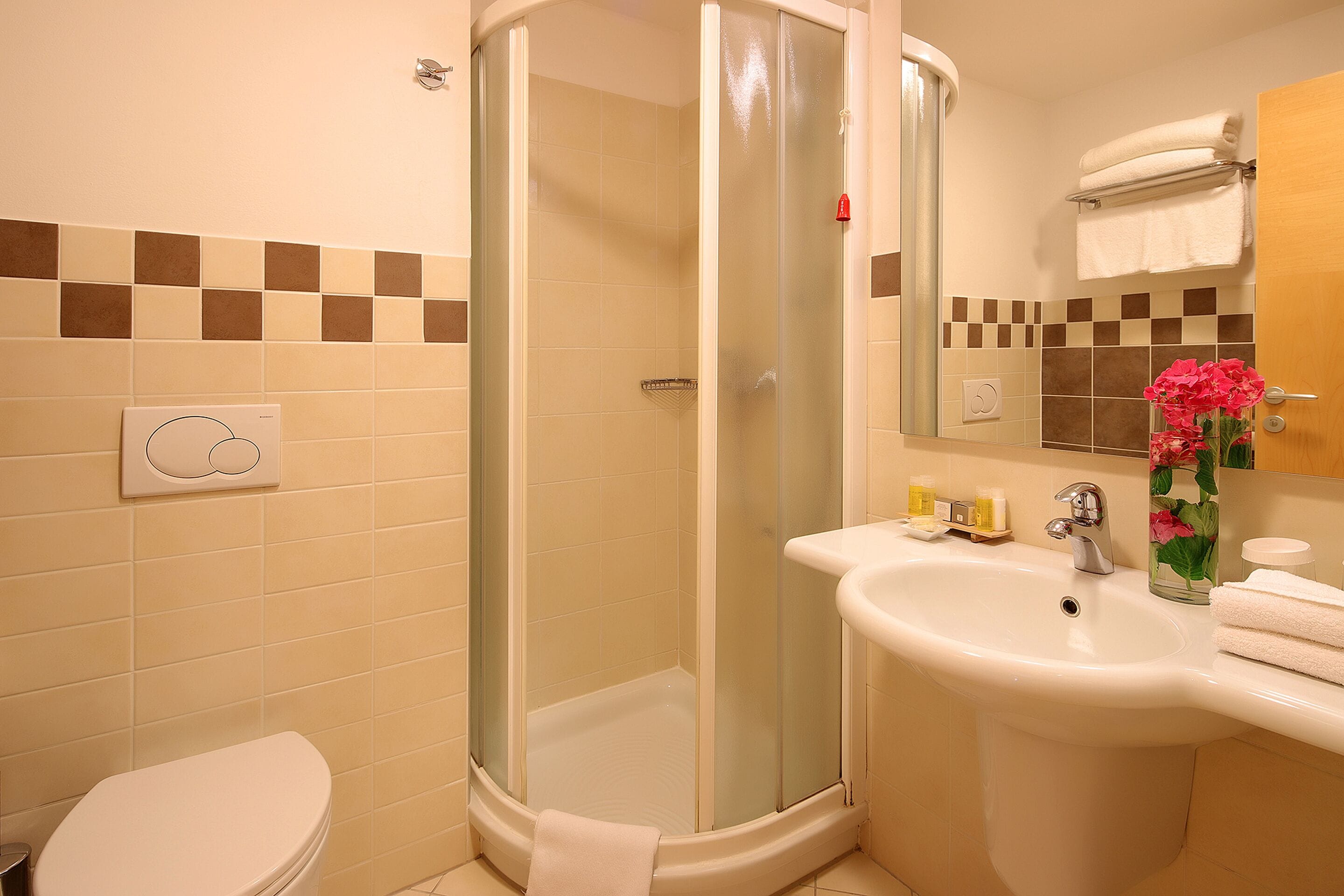 combined shower/bathtub, free toiletries, hair dryer, bathrobes