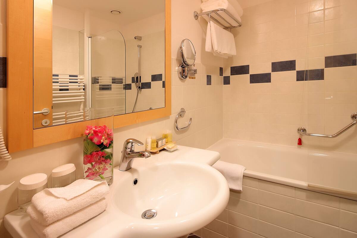 combined shower/bathtub, free toiletries, hair dryer, bathrobes