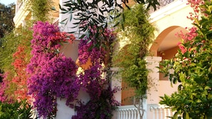 A building with a white facade, a balcony with white balustrades, and vibrant purple bougainvillea flowers. - Nefeli Hotel (Corfu)