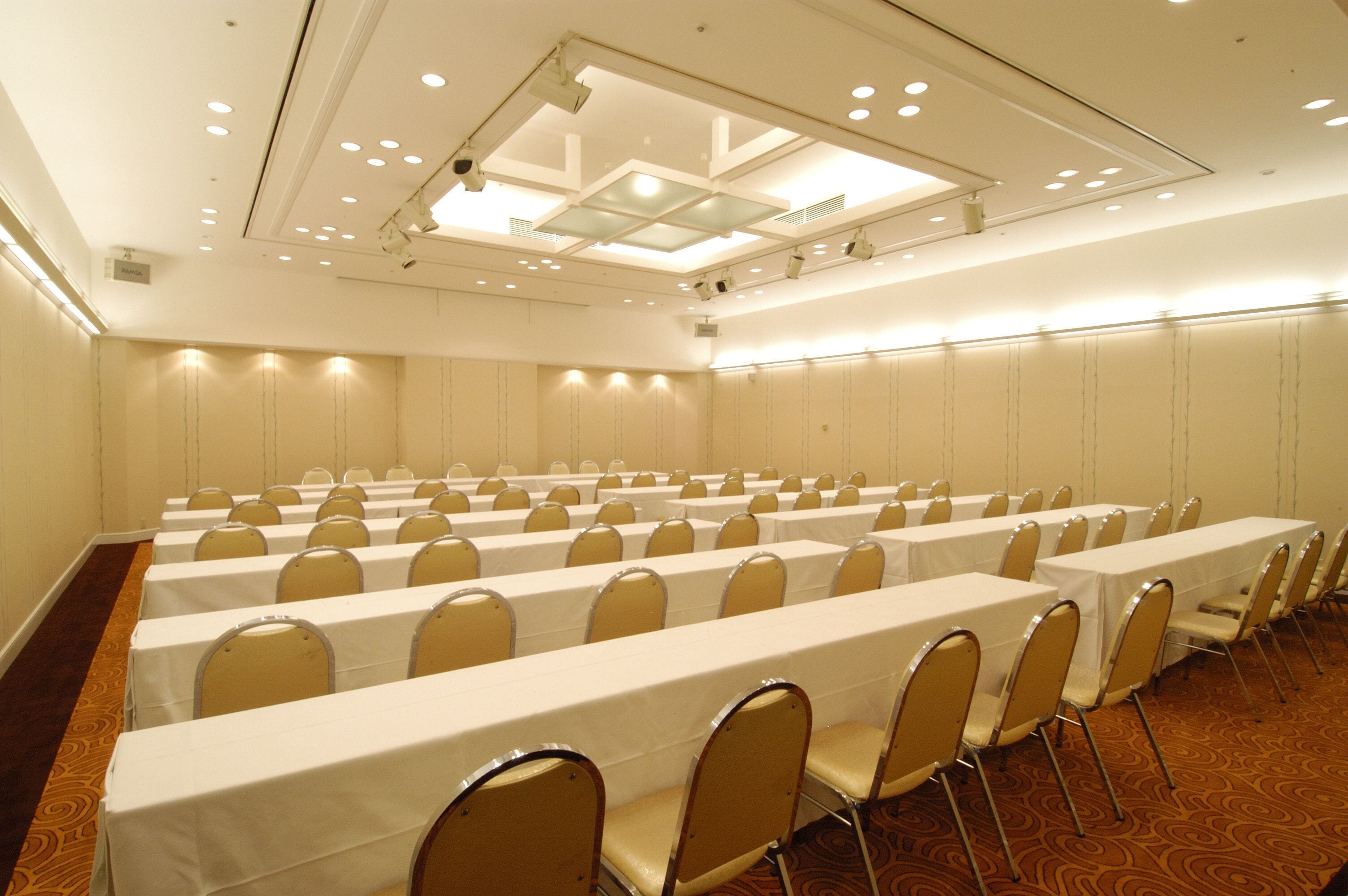 Un salón de conferencias con filas de mesas y sillas, una alfombra estampada e iluminación empotrada en el techo.