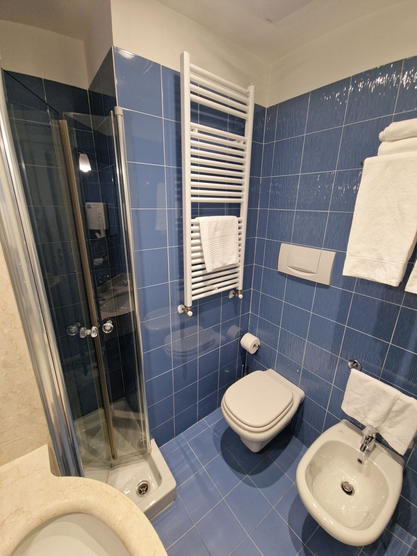 Een badkamer met een douchecabine van glas, een toilet, een bidet en een handdoekrek.