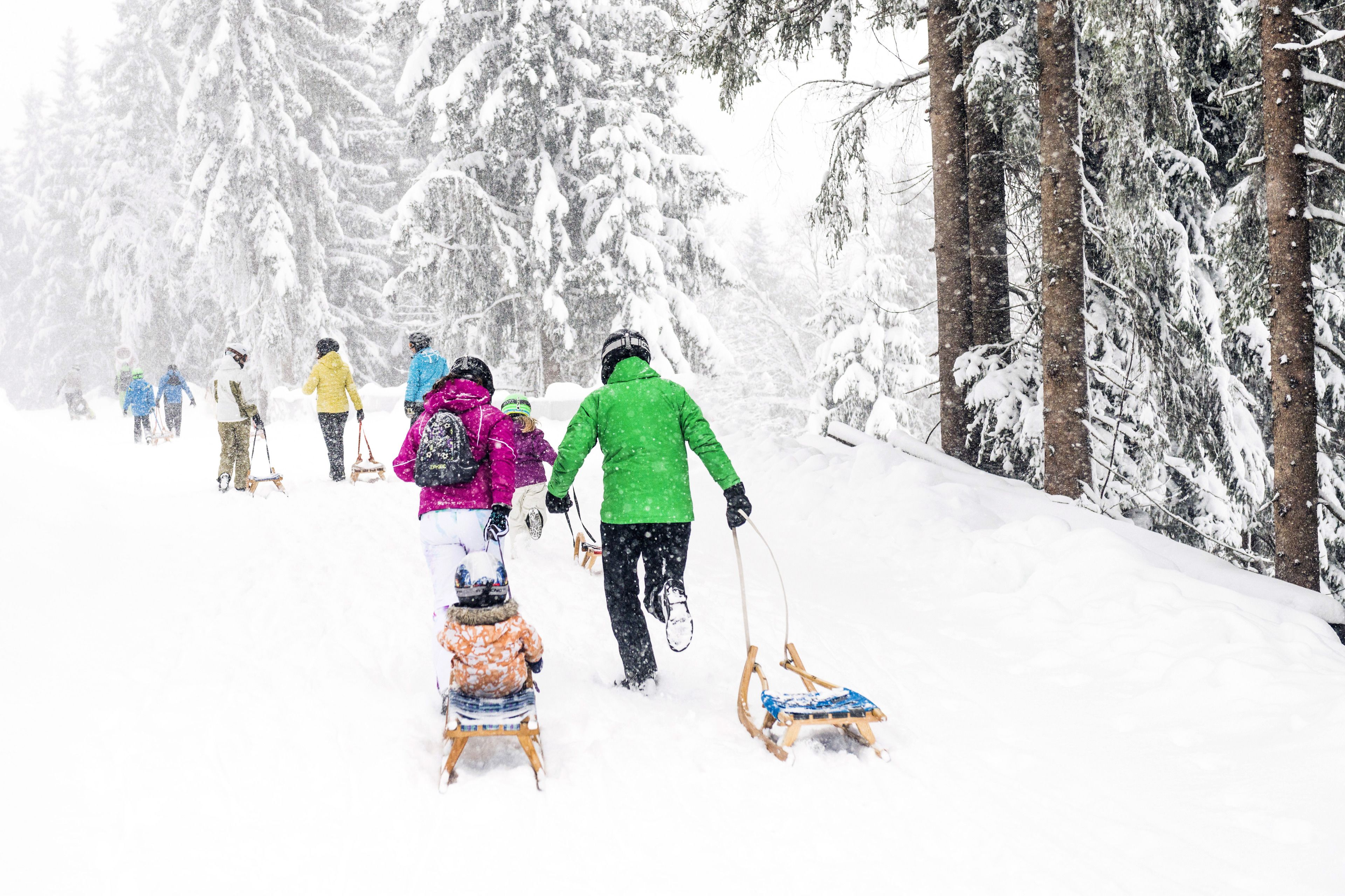 A snowy forest scene with people walking and sledding.