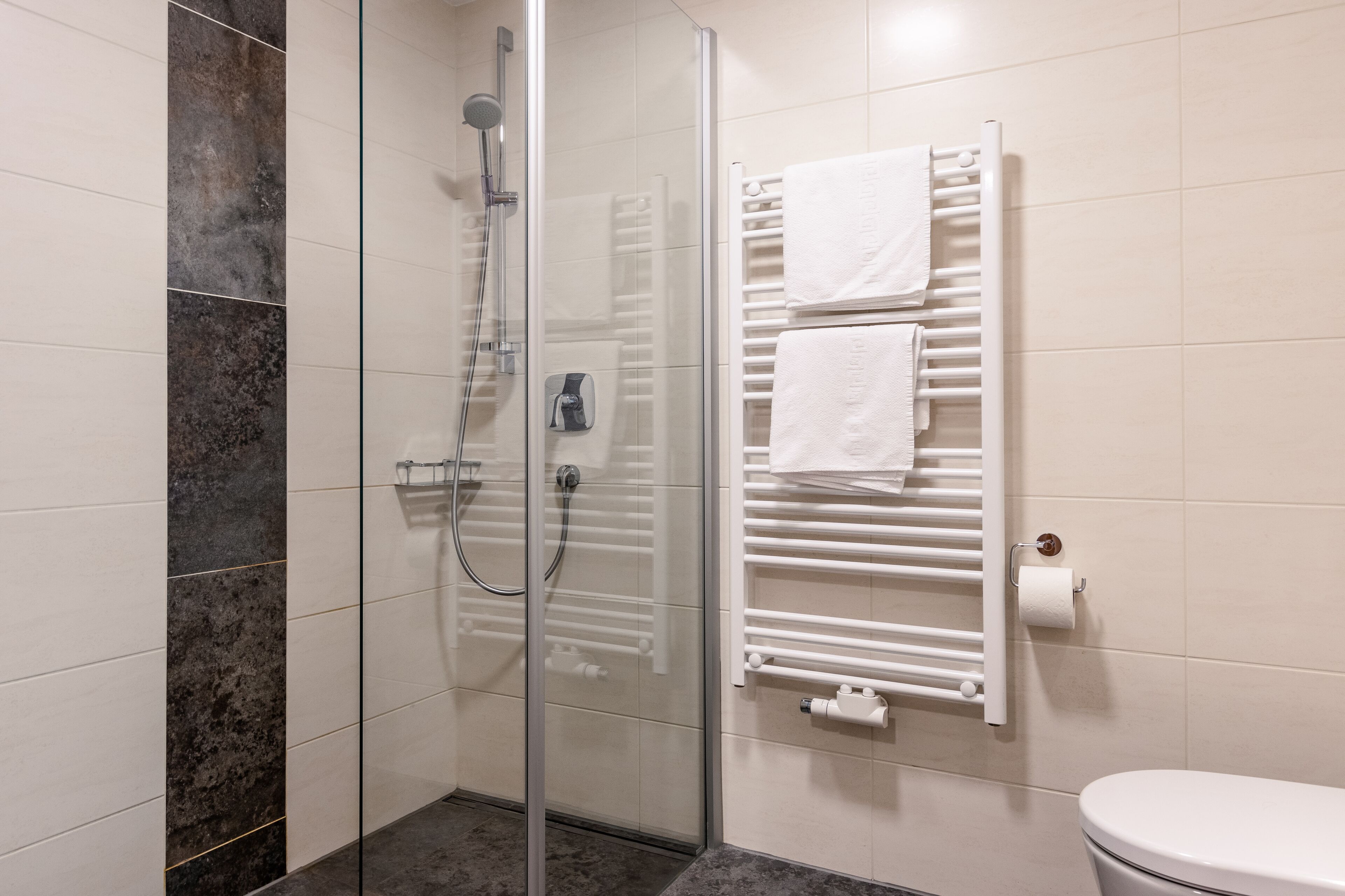 A modern bathroom with a glass-enclosed shower, a white toilet, and a towel rack with two towels.