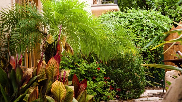 A building with a tiled roof, a balcony, and lush greenery. - Blue Iguana Inn (Ojai)