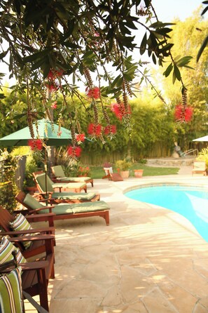 Outdoor pool, open 8 AM to 9:00 PM, pool umbrellas, sun loungers - Blue Iguana Inn (Ojai)