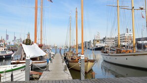 Uma marina com vários barcos atracados ao longo de um cais de madeira.