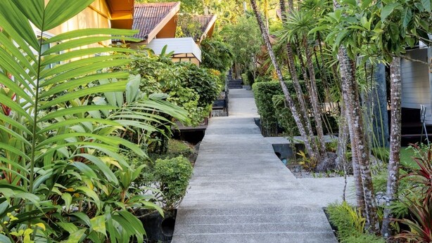A pathway flanked by lush greenery and palm trees, leading to a building with a tiled roof. - Aonang Paradise Resort (Krabi)
