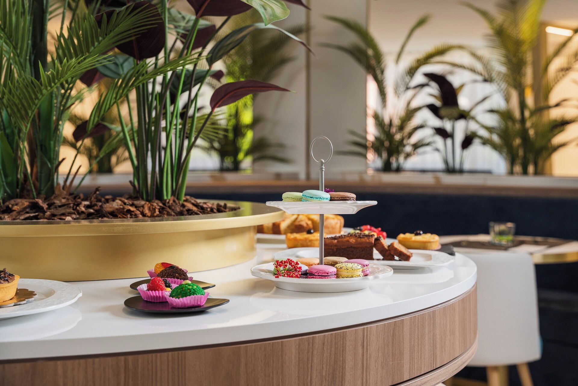 Photo - Parioli Hotel Rimini