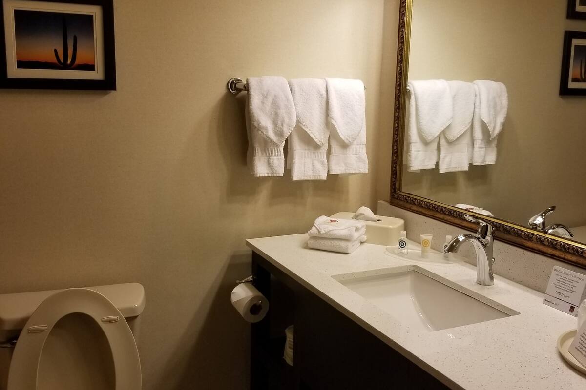 combined shower/bathtub, free toiletries, hair dryer, towels
