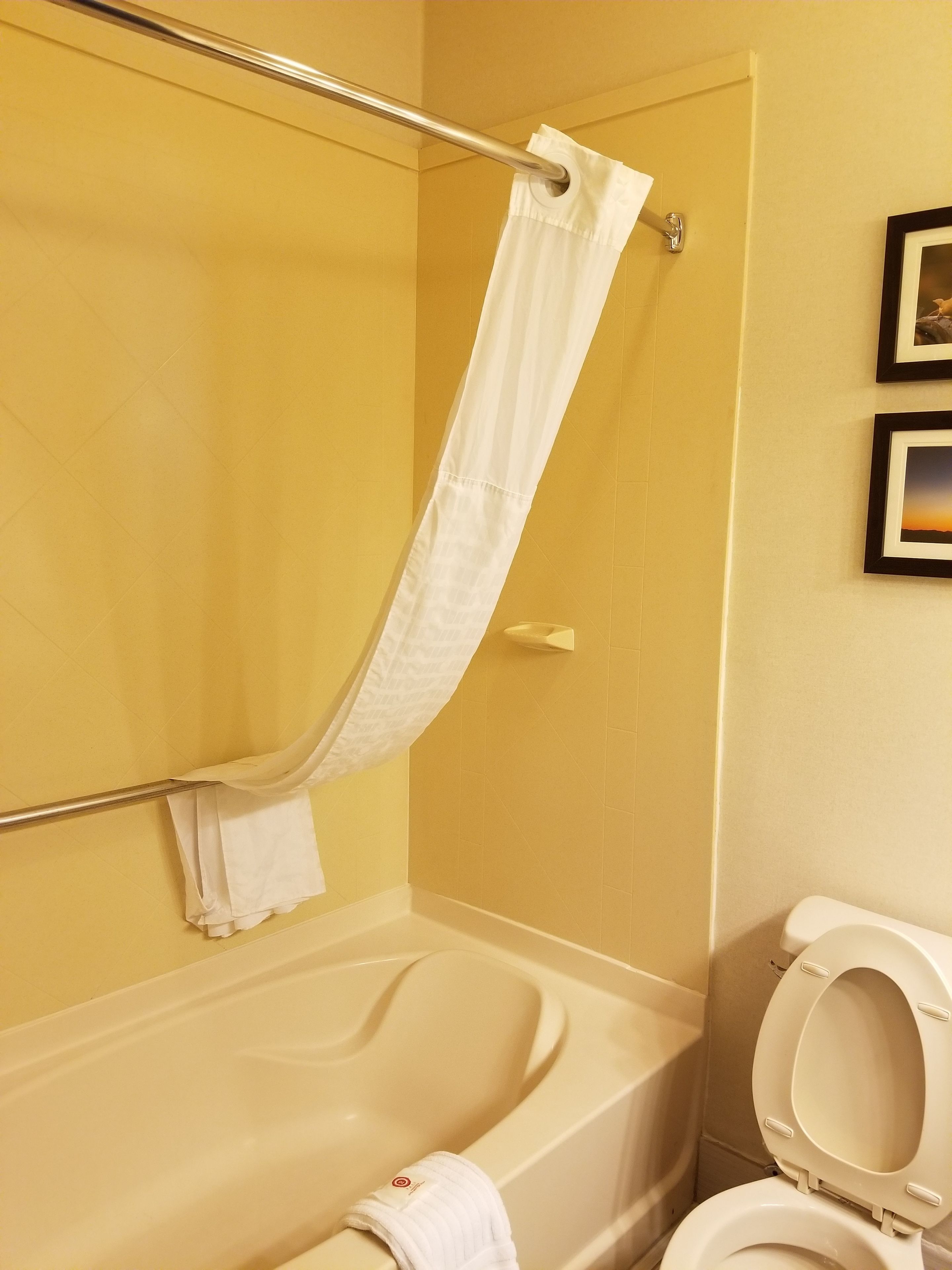 combined shower/bathtub, free toiletries, hair dryer, towels