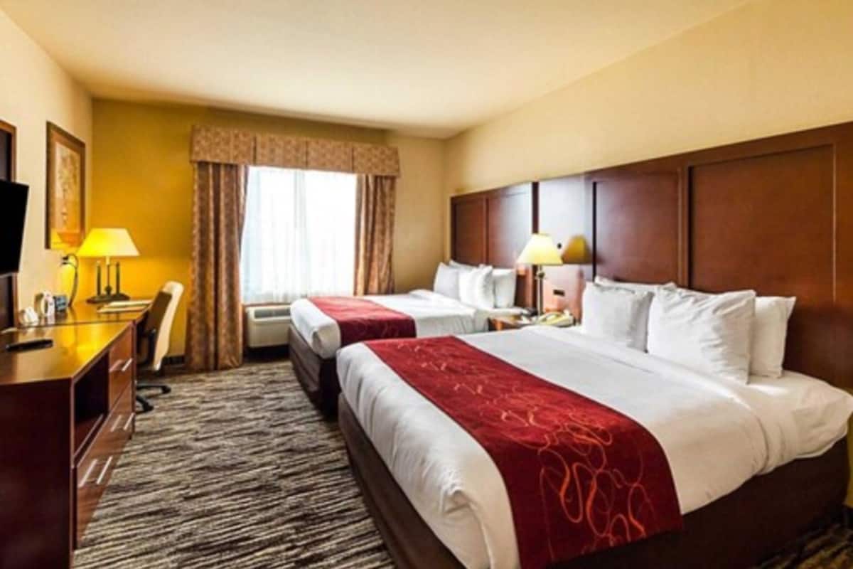 Premium bedding, down comforters, pillowtop beds, in-room safe