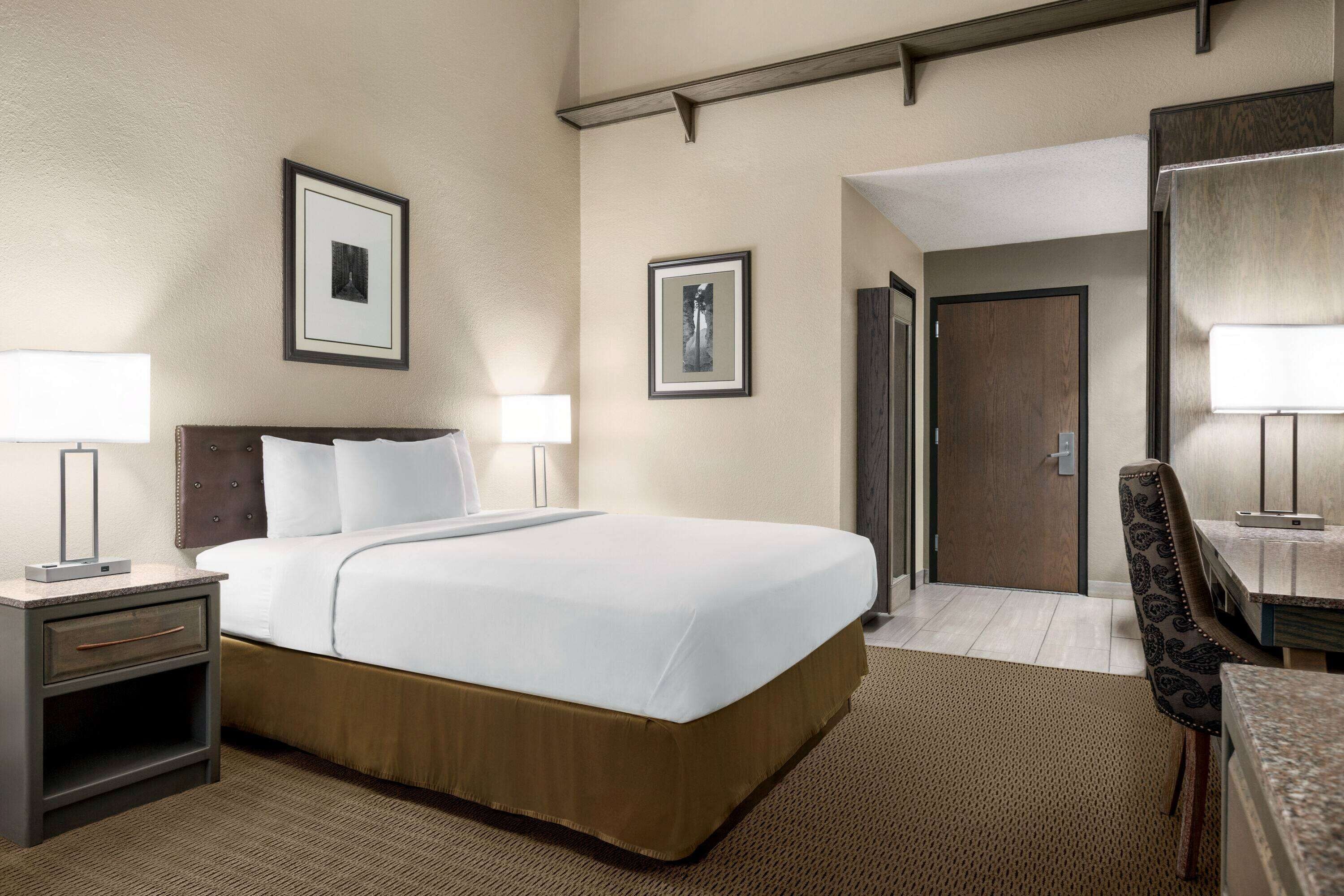 Deluxe Room, 1 Queen Bed, Non Smoking | Desk, blackout drapes, iron/ironing board, free WiFi