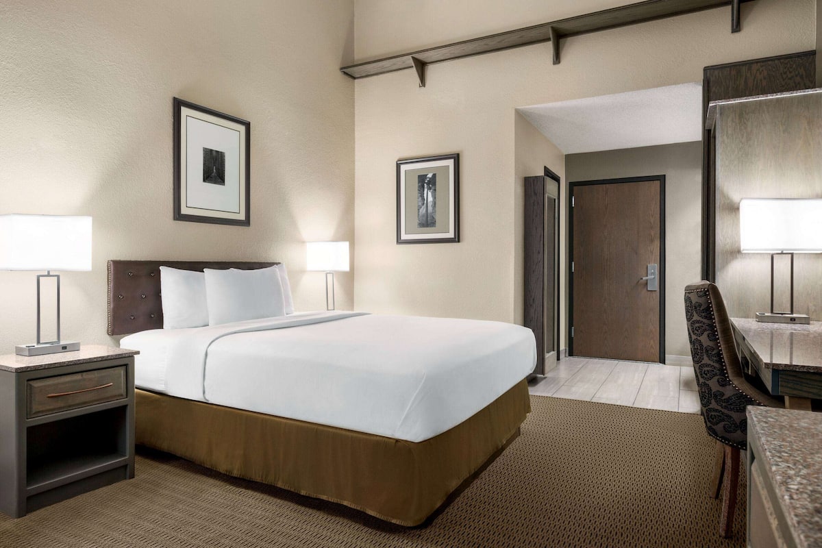 Deluxe Room, 1 Queen Bed, Non Smoking | Desk, blackout drapes, iron/ironing board, free WiFi