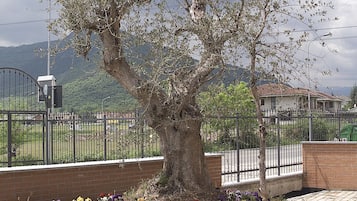 Jardin