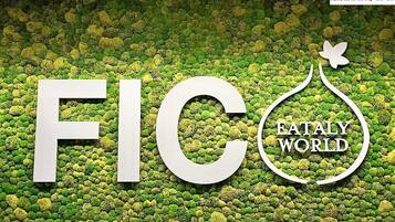 A wall with moss and the text "FICO" and "FATAL WORLD".