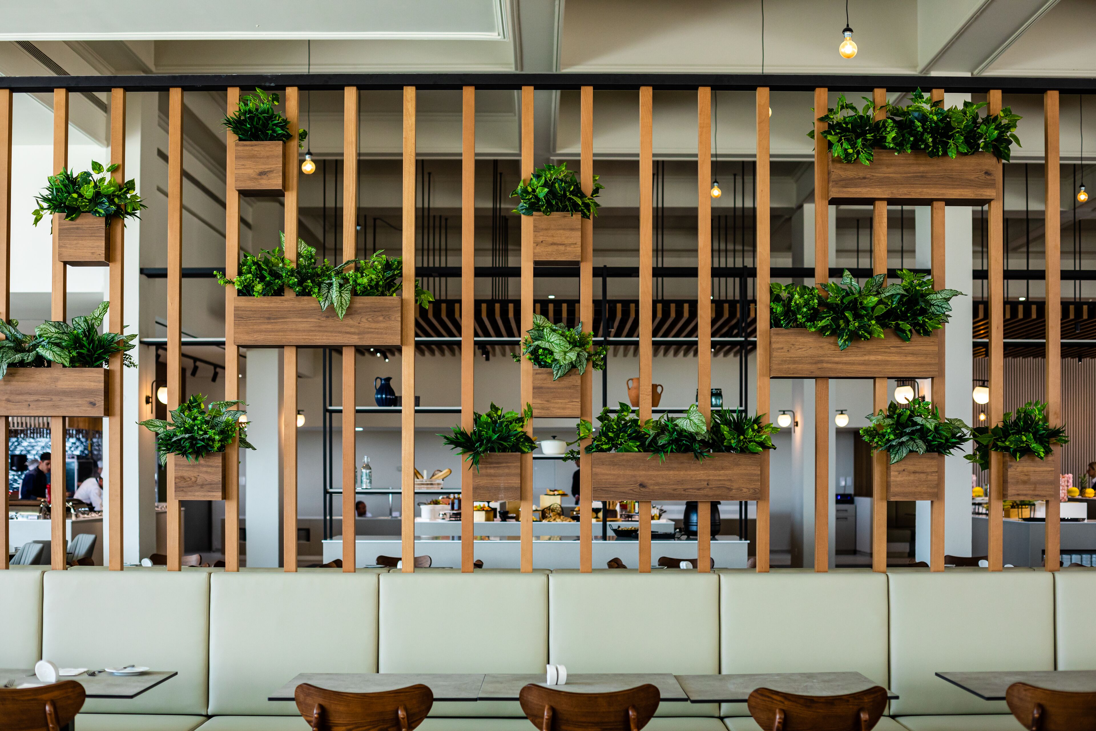 Foto - Louis Phaethon Beach