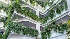Vestíbulo de hotel con varios niveles de vegetación, zonas de estar blancas y un mostrador de recepción.