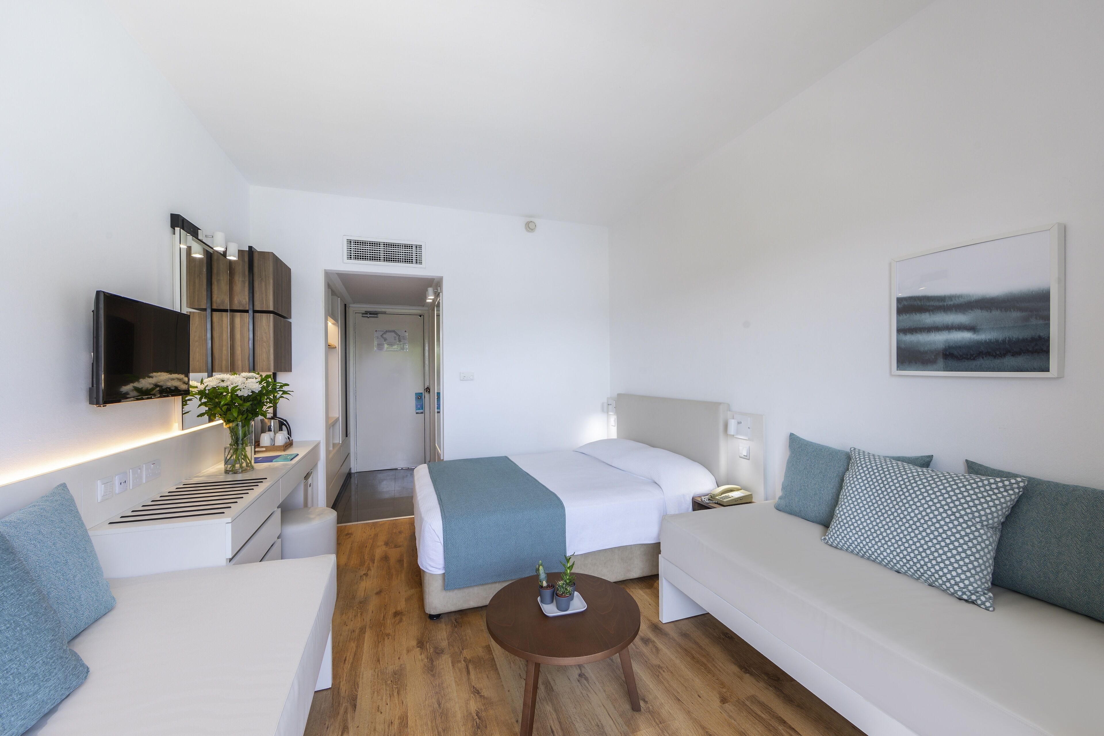 Una moderna camera d'hotel con un letto, un divano, una TV, una scrivania e un piccolo tavolino con una pianta.