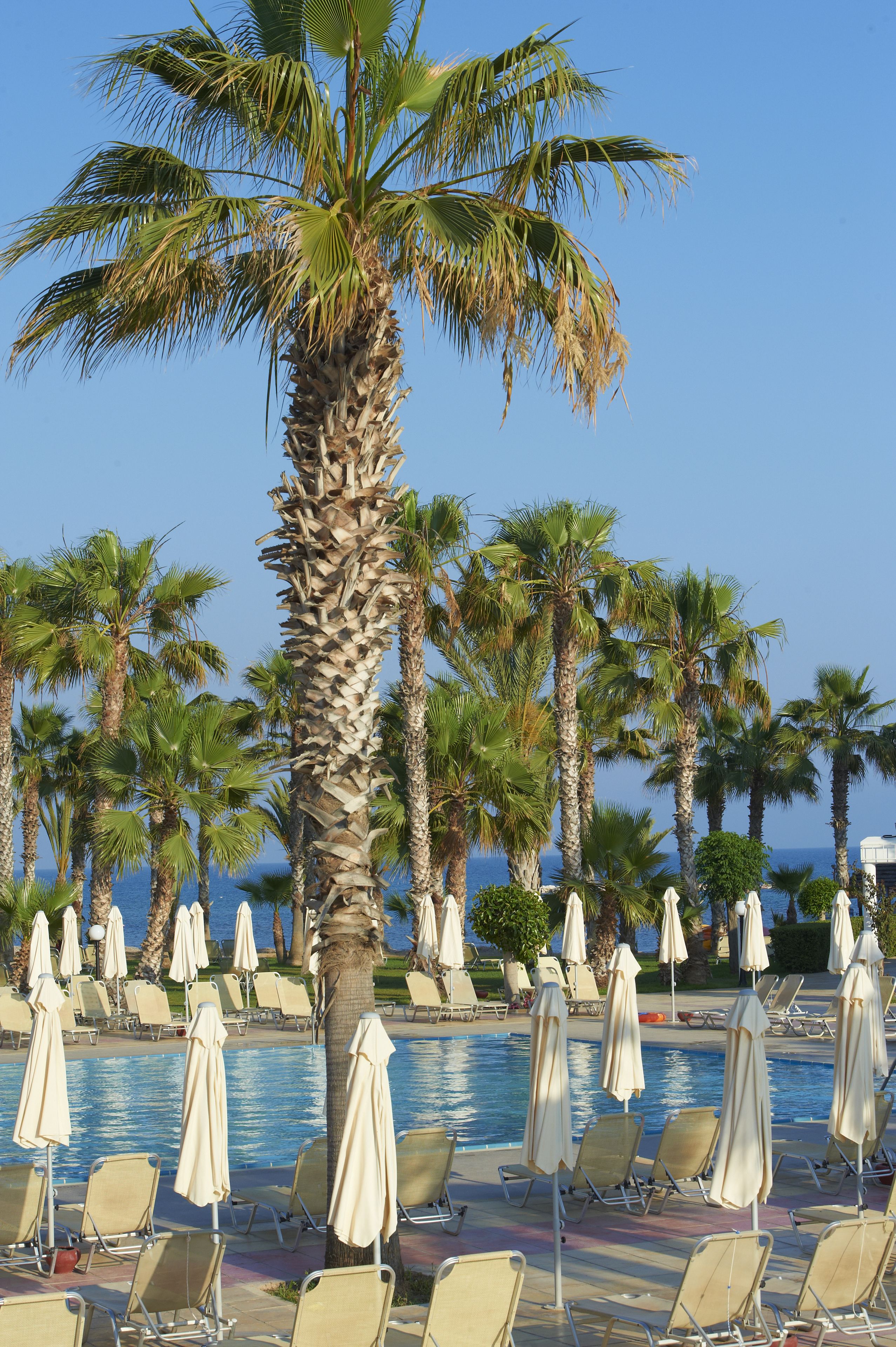 indoor pool, 2 outdoor pools, pool umbrellas, pool loungers