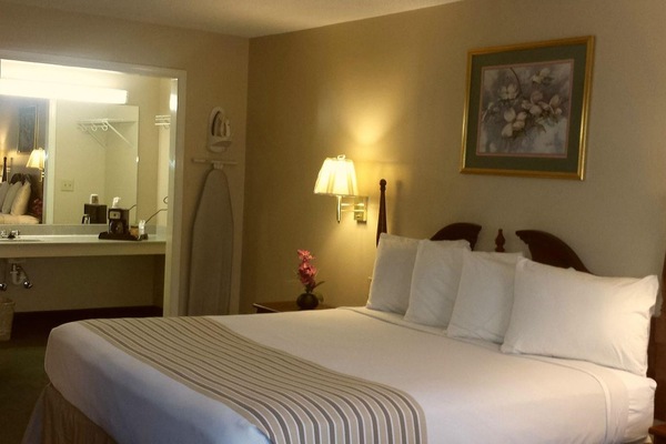 Kamar, 1 Tempat Tidur King | Meja kerja, setrika/meja setrika, Wi-Fi, dan seprai linen