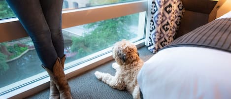 Una persona de pie junto a una ventana con un perro mirando hacia afuera.