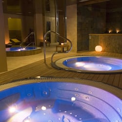Sauna, hot tub, steam room, body treatments, facials, 1 treatment room