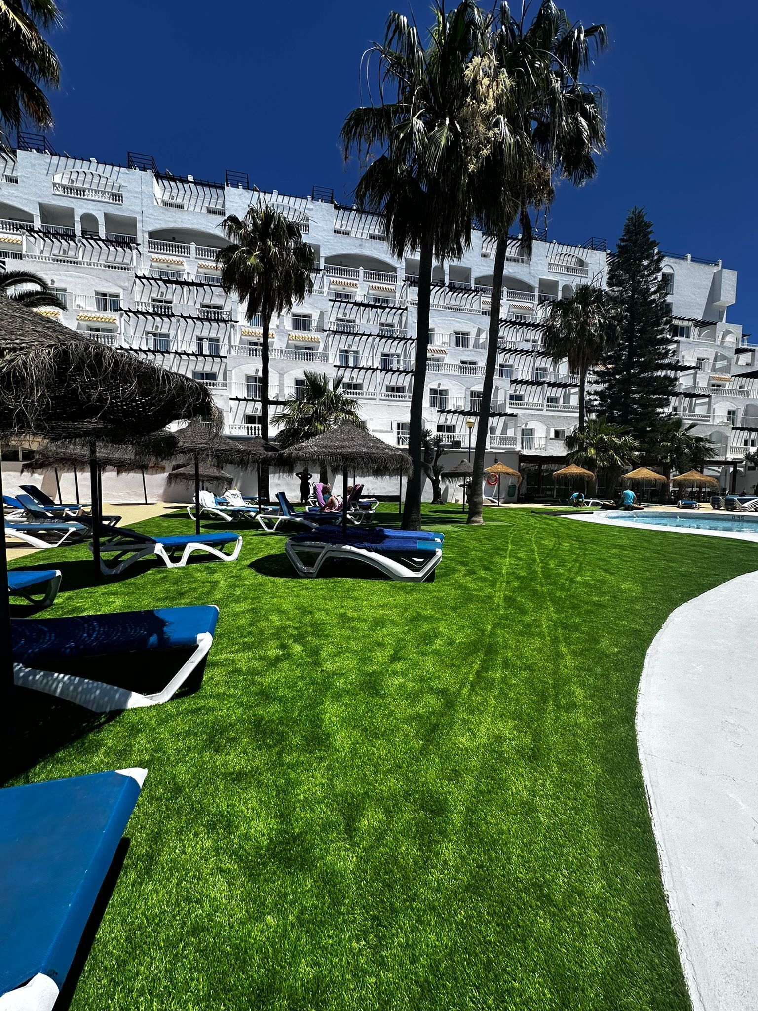 Un complexe hôtelier doté d’une piscine, de chaises longues et de palmiers.