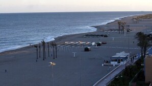 A beach with a paved walkway, palm trees, and a view of the ocean.
