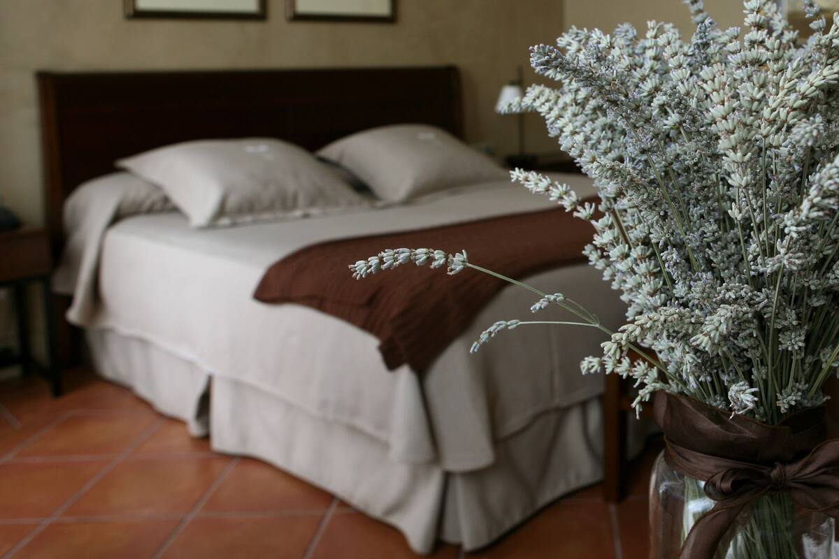 standard room | 2 bedrooms, in-room safe, desk, laptop workspace