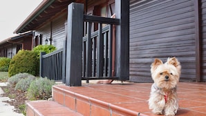 Un chien est assis sur le porche d’une maison en bois, et des marches mènent à l’entrée.