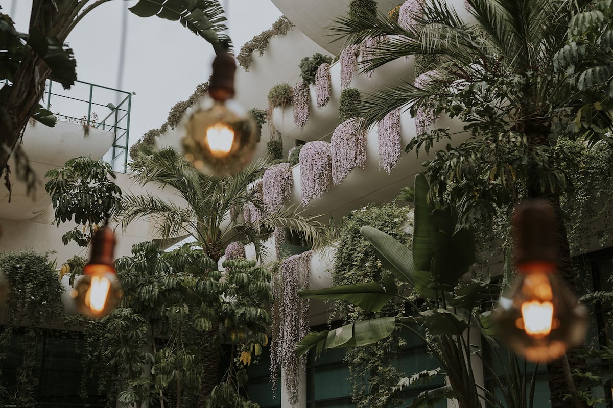 outdoor banquet area