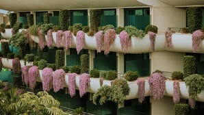 Un edificio de varios pisos con balcones decorados con plantas y follaje colgante.