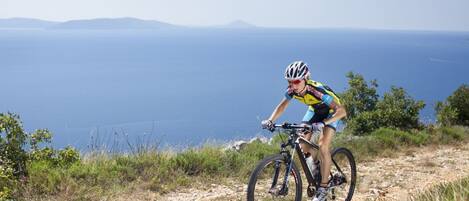Un ciclista en un sendero de bicicleta de montaña, con vistas panorámicas al océano y montañas distantes.