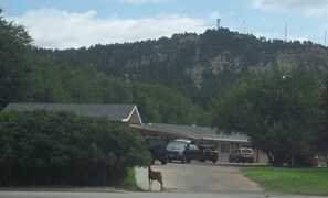 Exterior - Dollar Inn Hot Springs (Hot Springs)