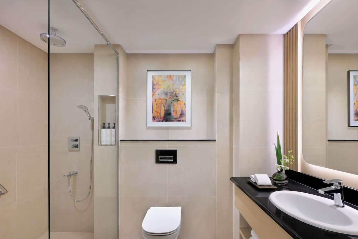 Minibar, in-room safe, individually furnished, desk