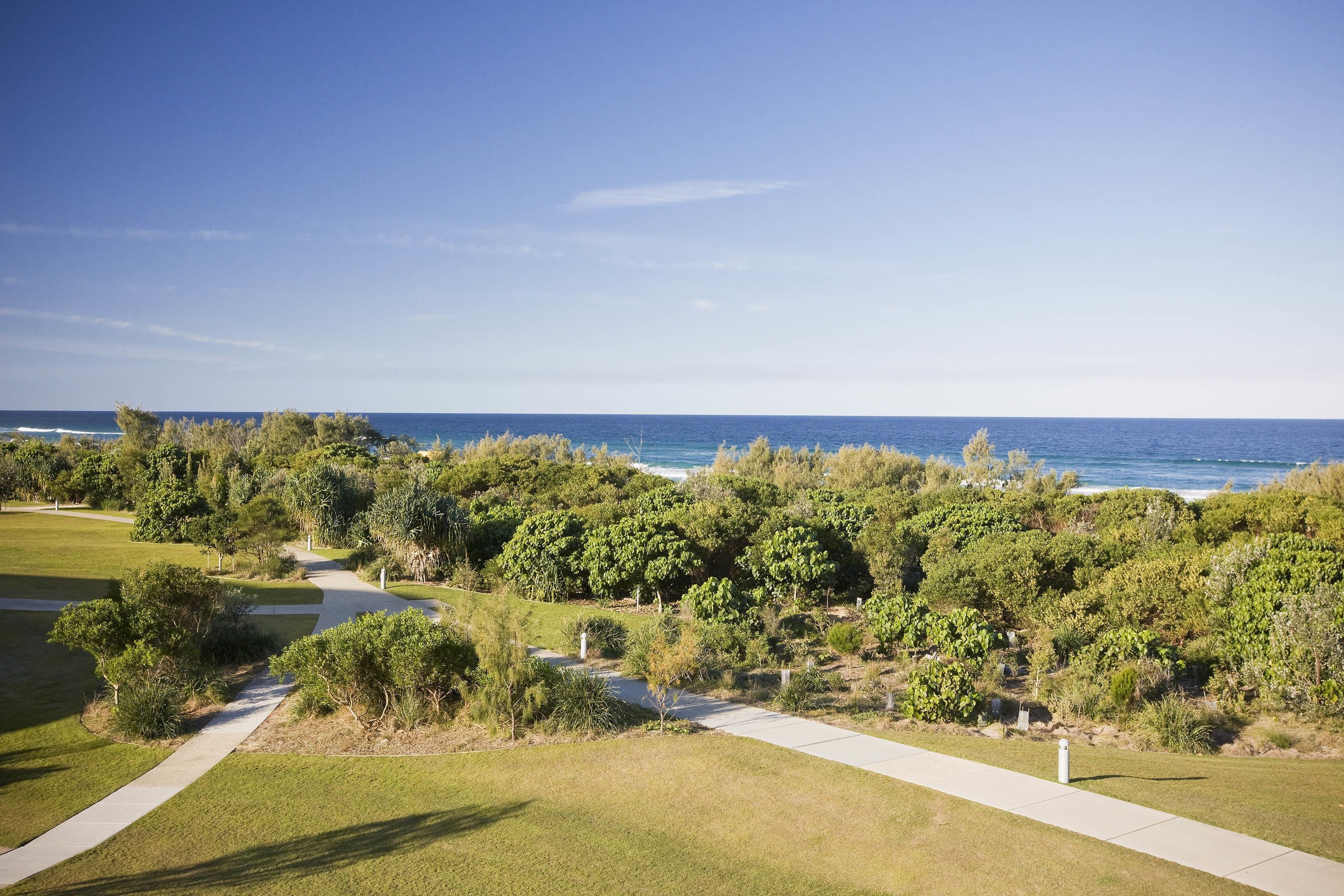 on the beach, white sand