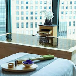 Sauna, hot tub, body treatments, facials, manicures and pedicures