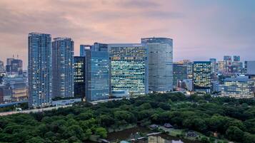 A cityscape with modern high-rise buildings, a park with a lake, and a traditional building with a green roof.