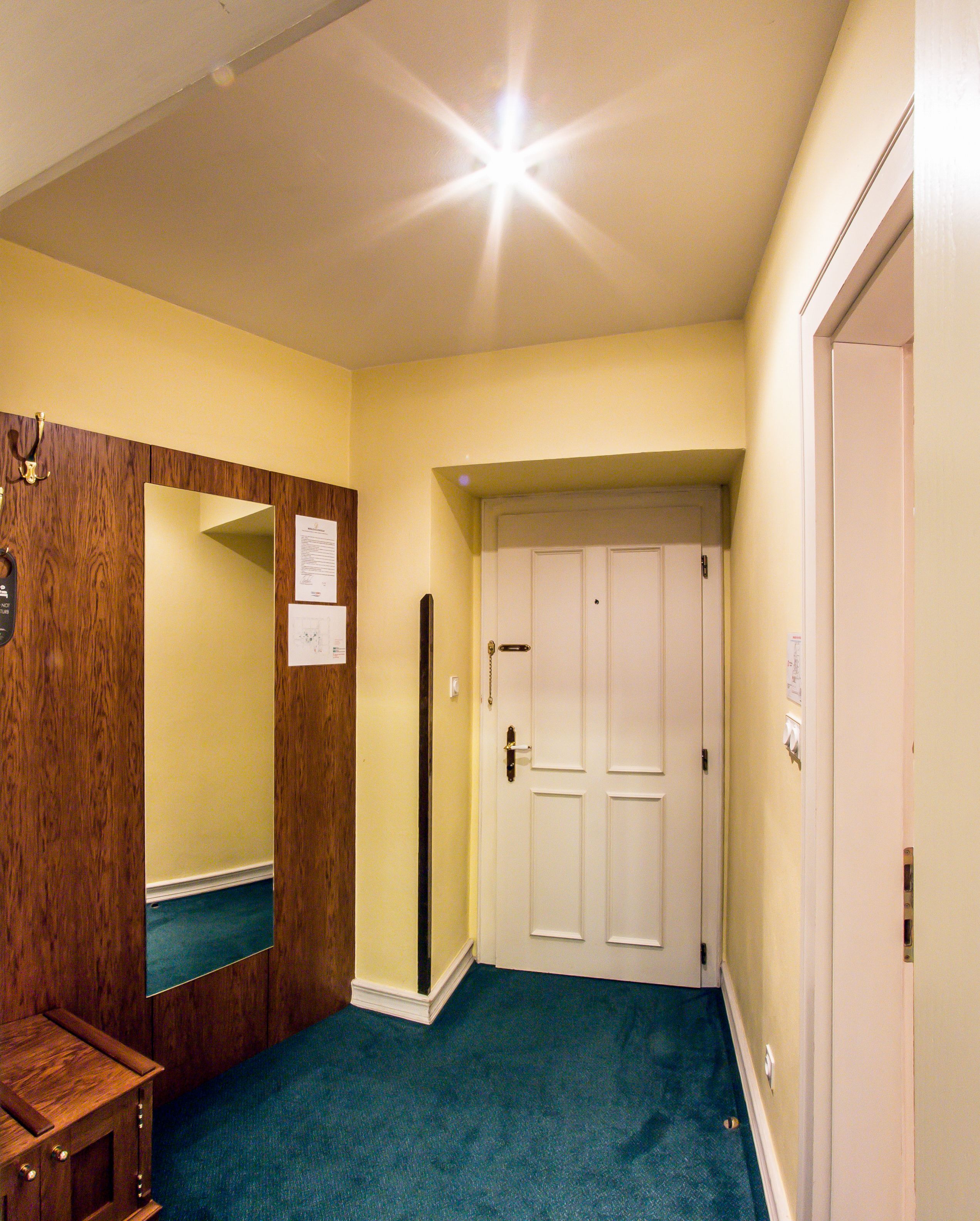 A hallway with a wooden door, a white door, and a mirror on the left wall.
