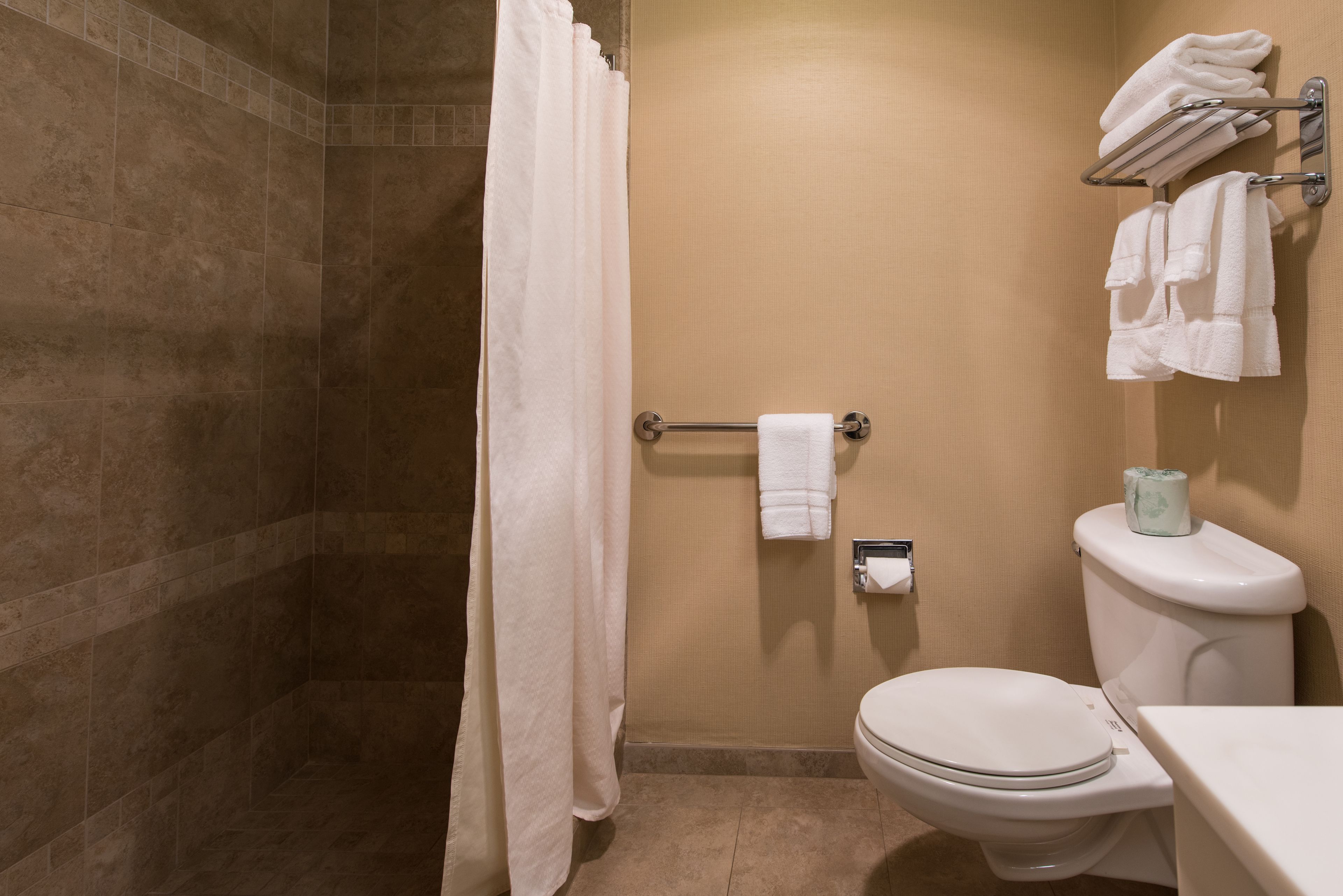 Standard Room, 1 King Bed | Bathroom | Combined shower/tub, free toiletries, hair dryer, towels
