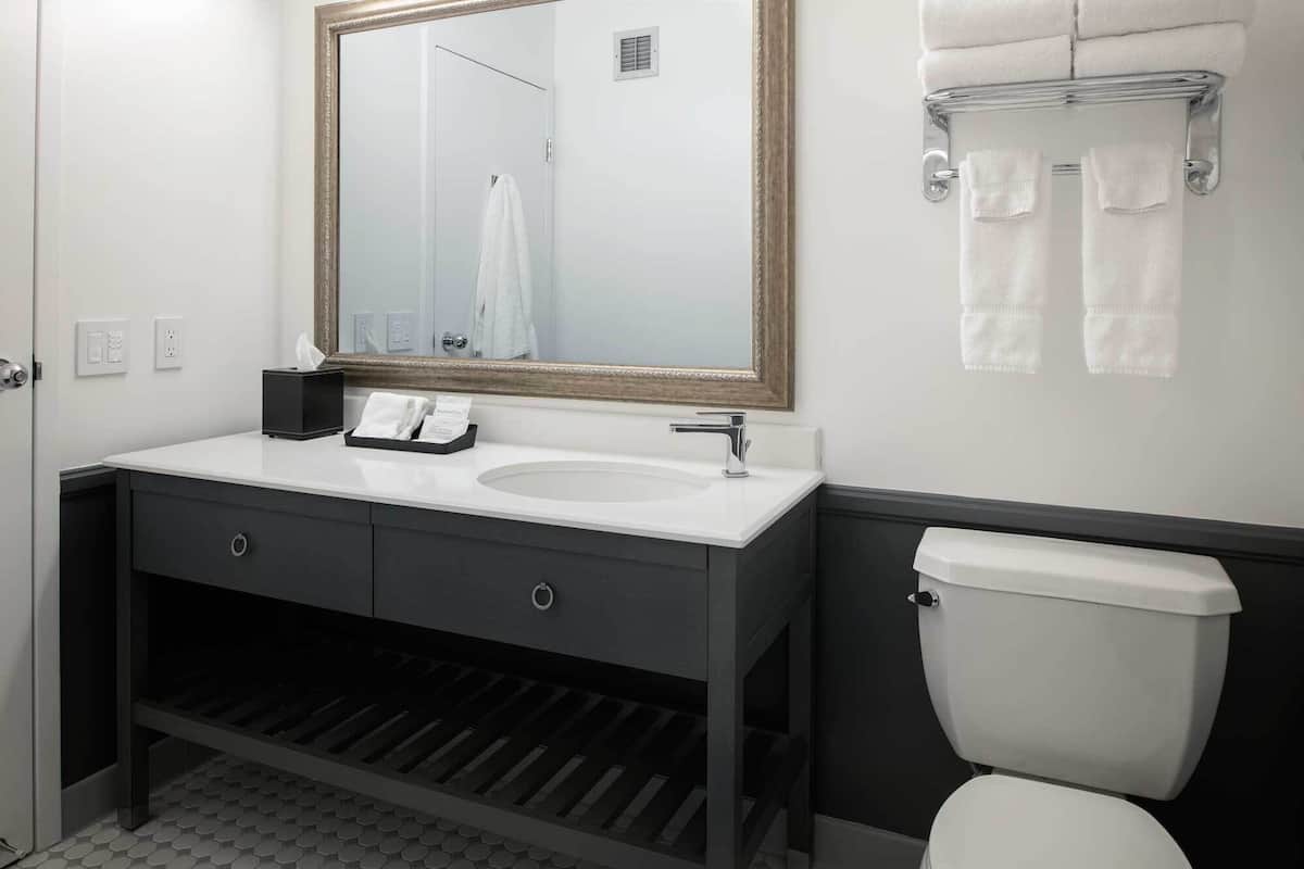 Bañera con ducha, artículos de tocador gratuitos, secador de pelo