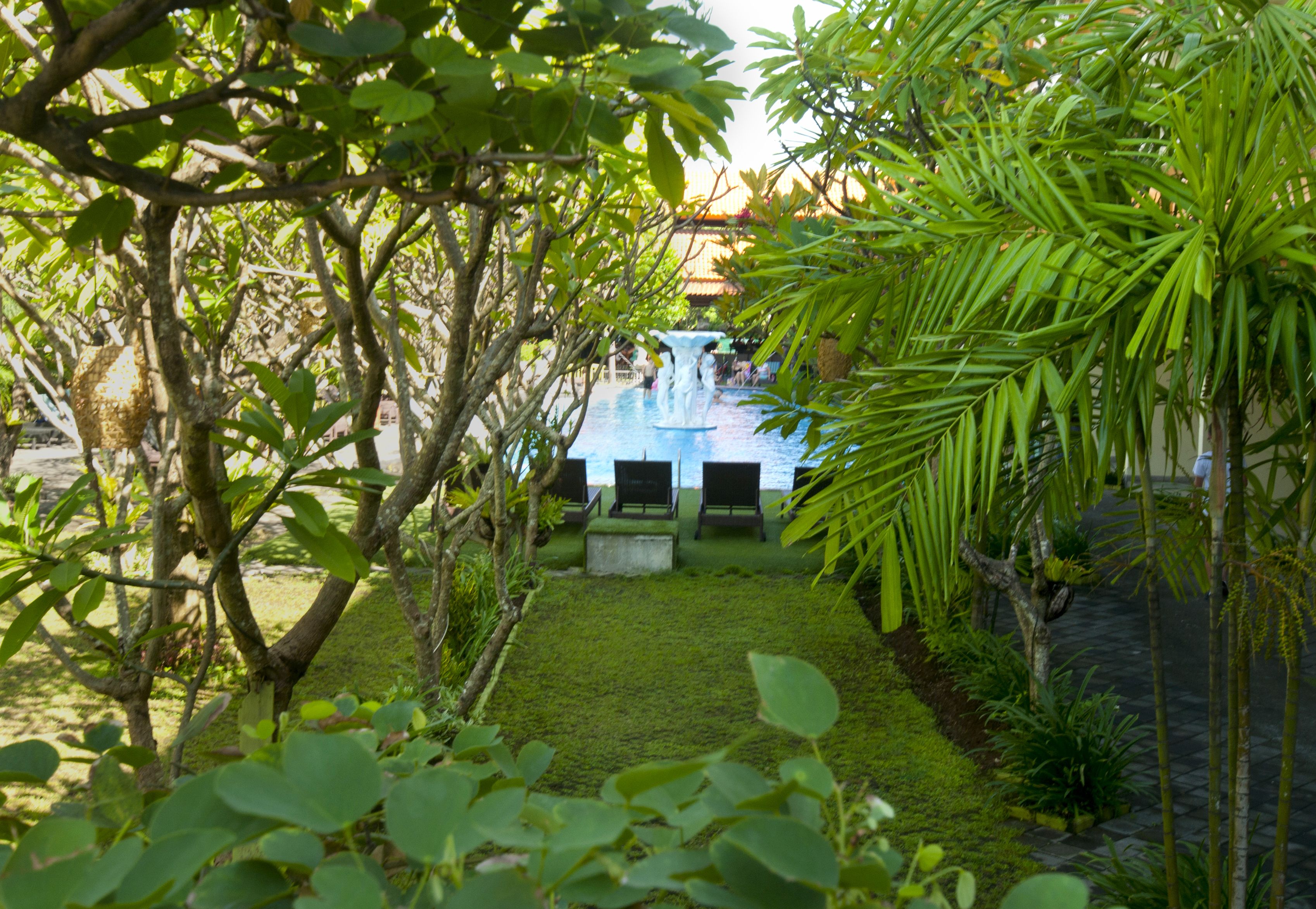 Jardim