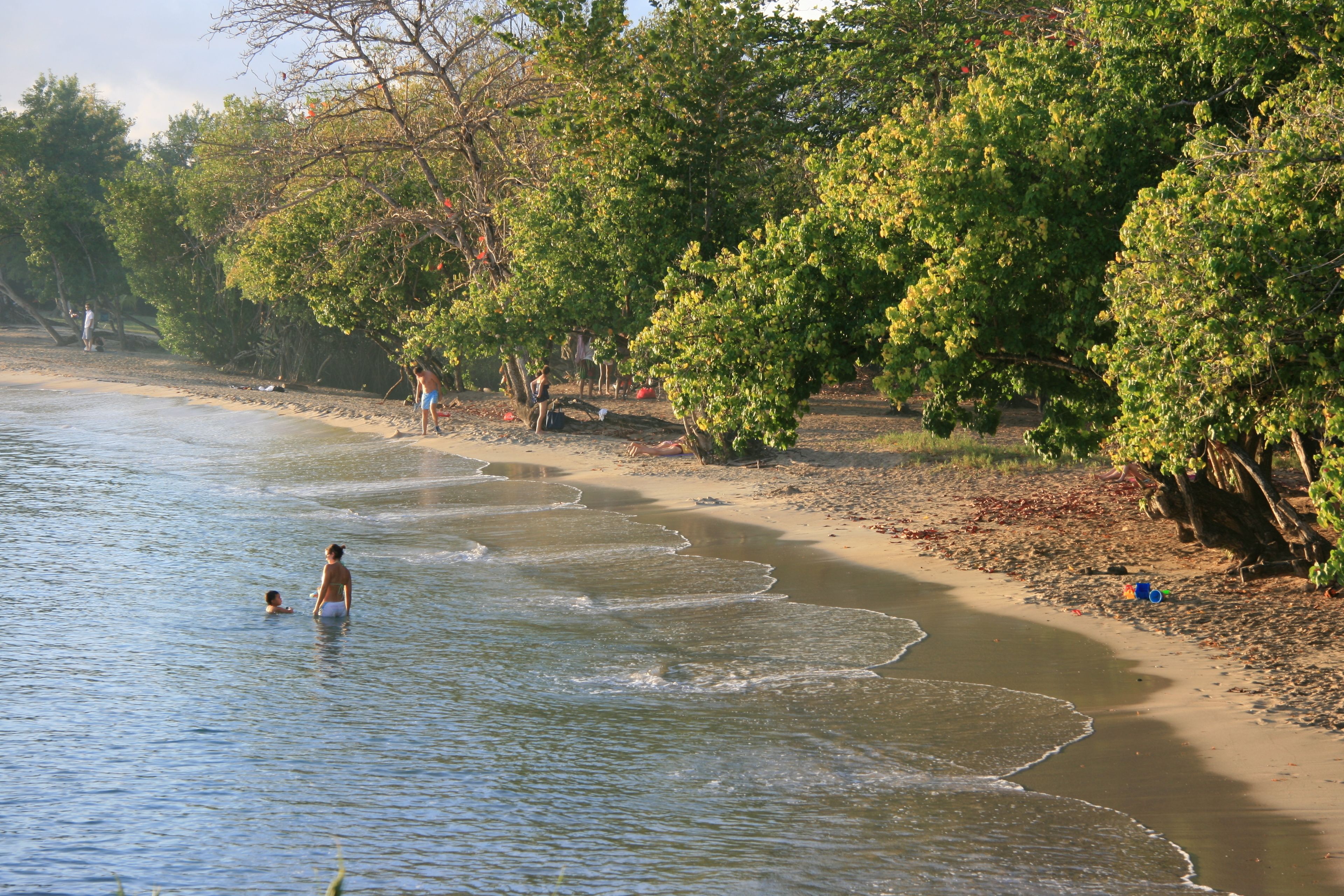 Ein Strand mit klarem Wasser, Bäumen und Menschen.