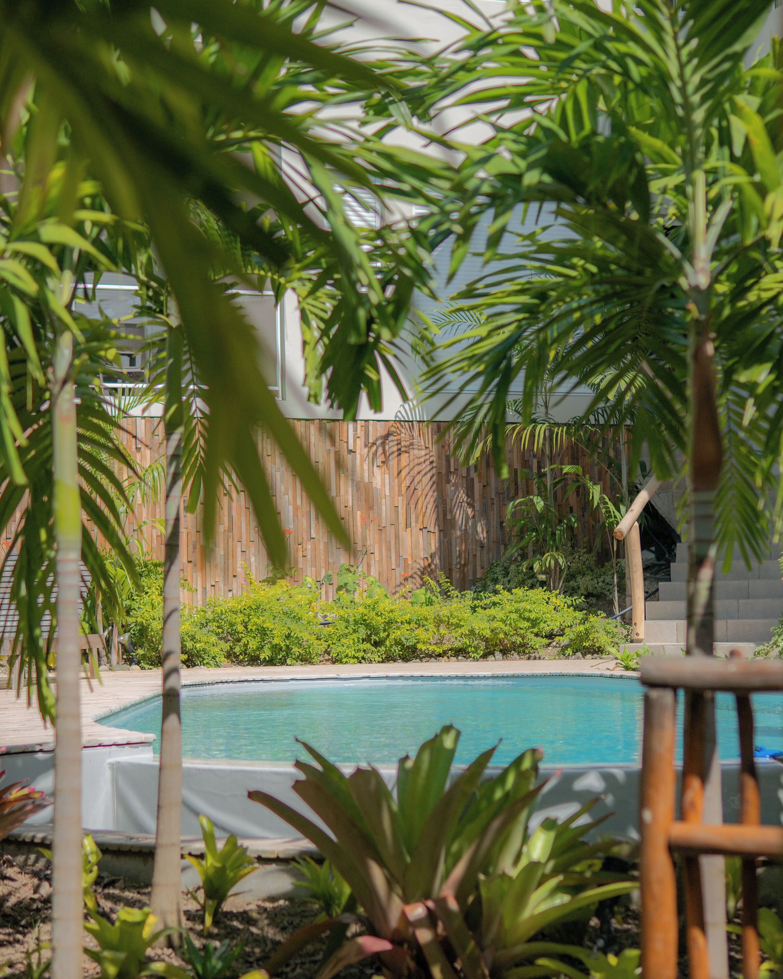 A pool surrounded by lush greenery and a wooden fence.