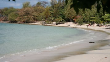 Una playa cerca