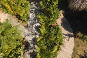 Vườn