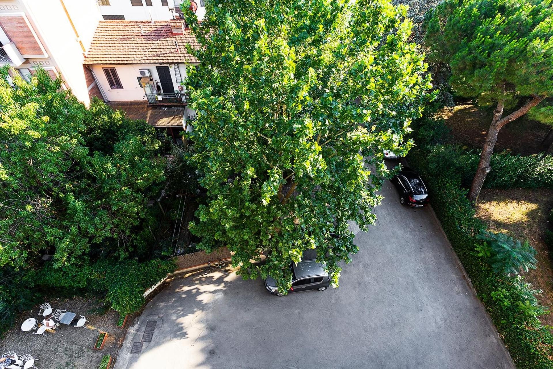 An aerial view of a residential area with a paved driveway, a parked car, and a bicycle.