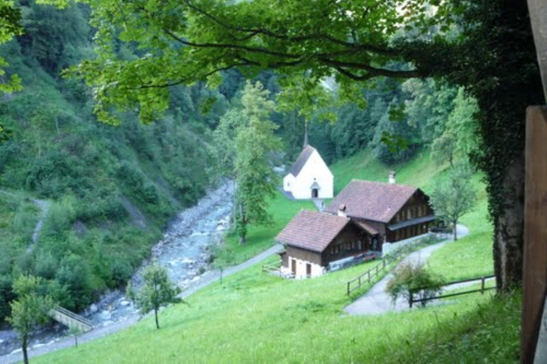 View from property
