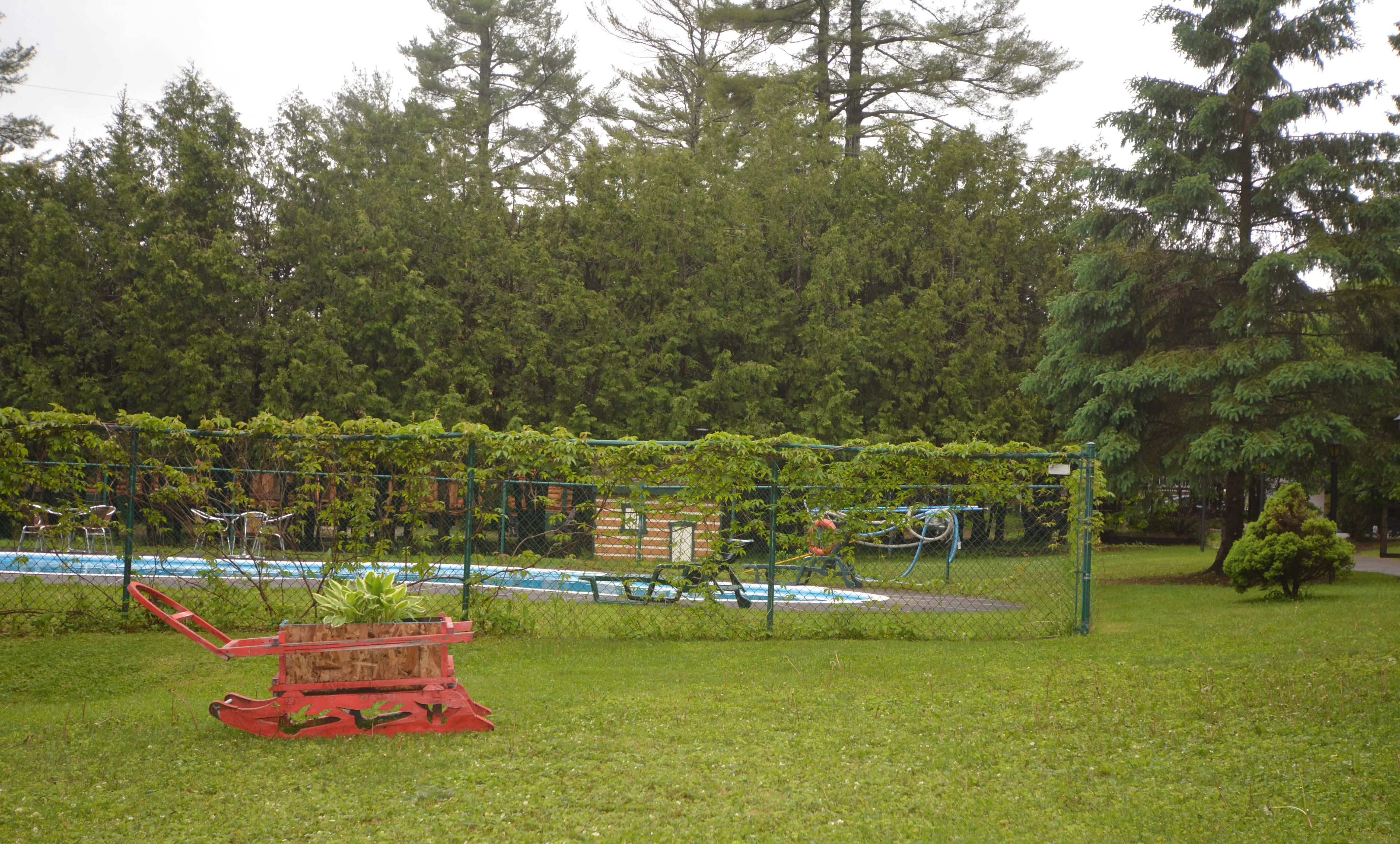 A fenced garden area with a red planter and a small structure, surrounded by dense trees.