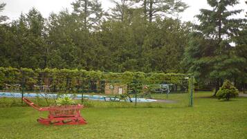 A fenced garden area with a red planter and a small structure, surrounded by dense trees.